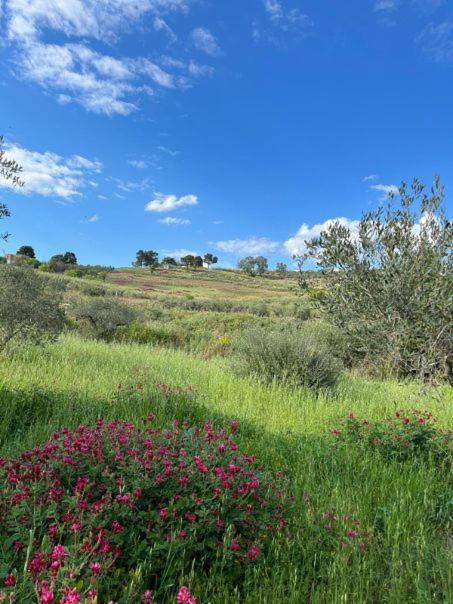 Villa Casa country Agrigento Exterior foto
